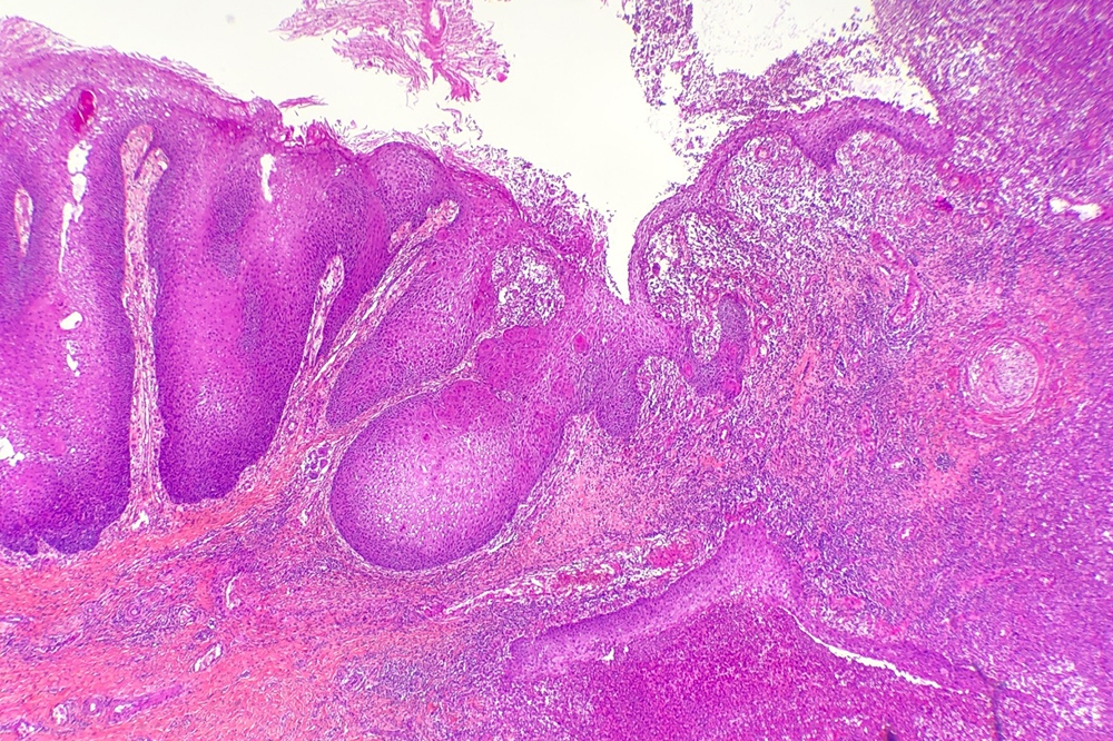 technopole-pathologie-image-anapath-4-1